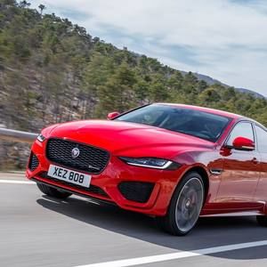 Meet your Posher, Andy